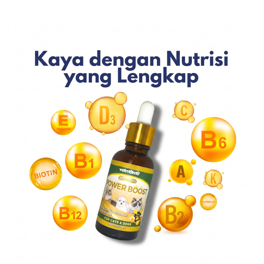Power Boost Immune Booster