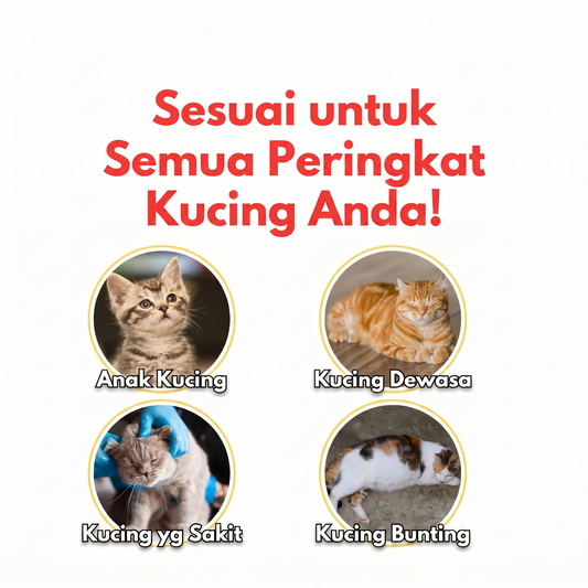 Vetmomo Cat Essential Oil 10ML