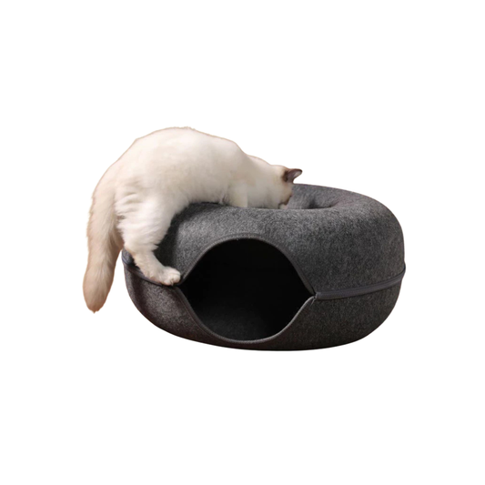 Donut Cat Tunnel