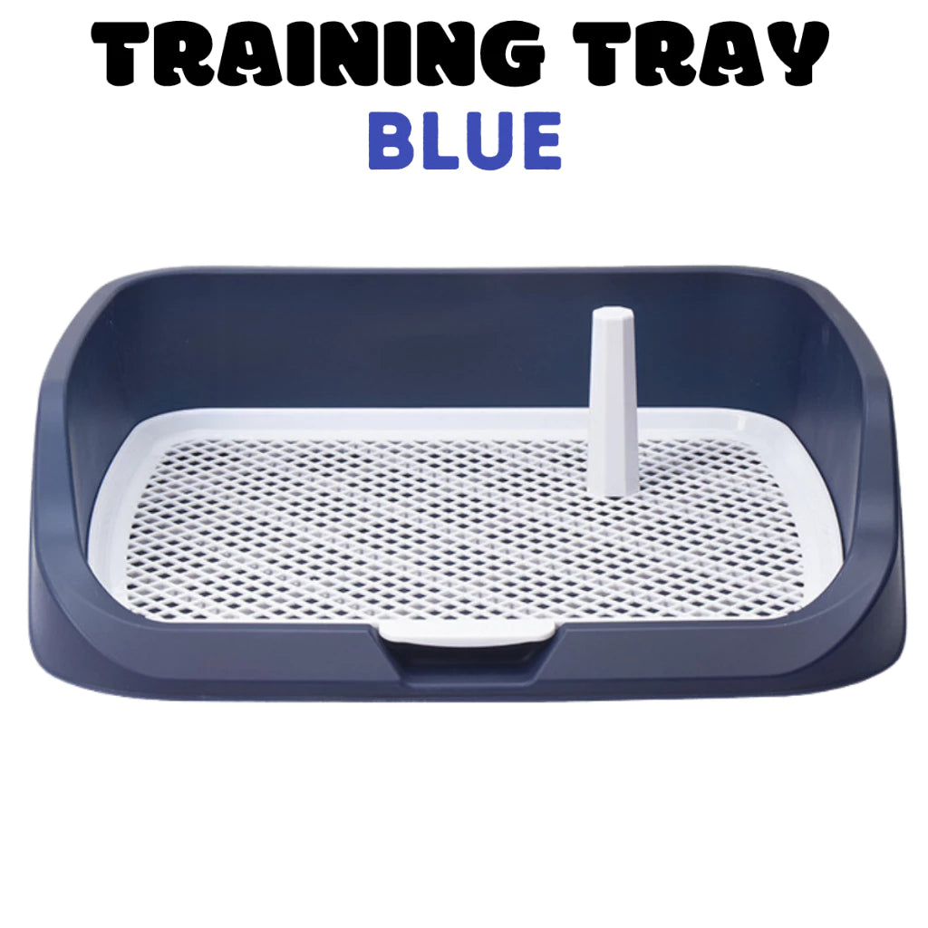 Dog Toilet Training Tray