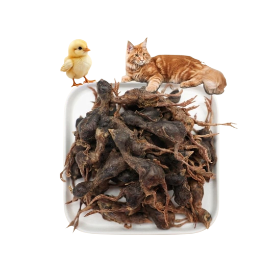 Premium Freeze-Dried Small Chicken For Pets