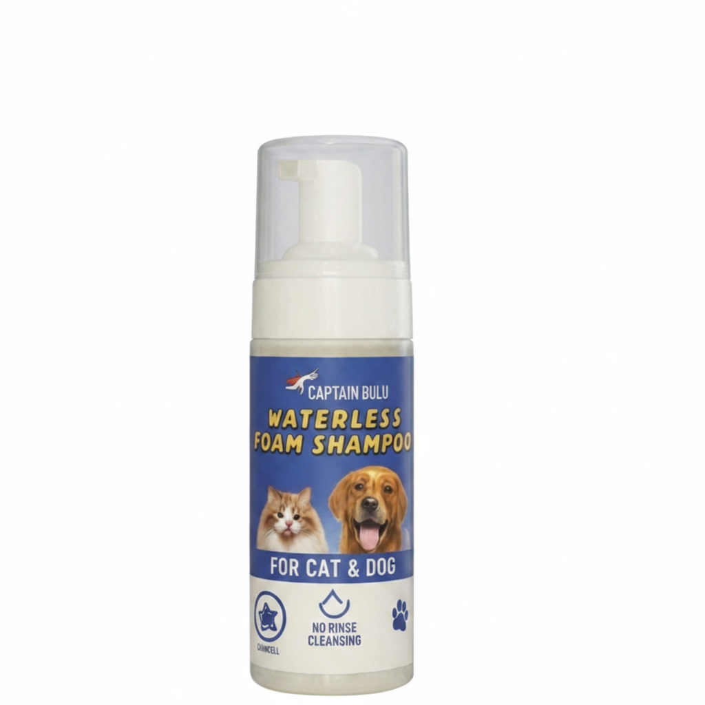 Foam Shampoo