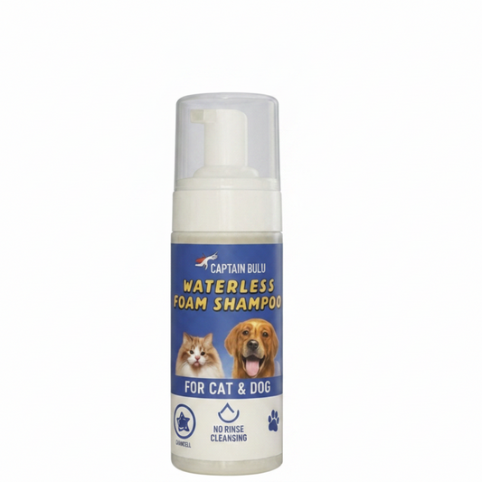Foam Shampoo