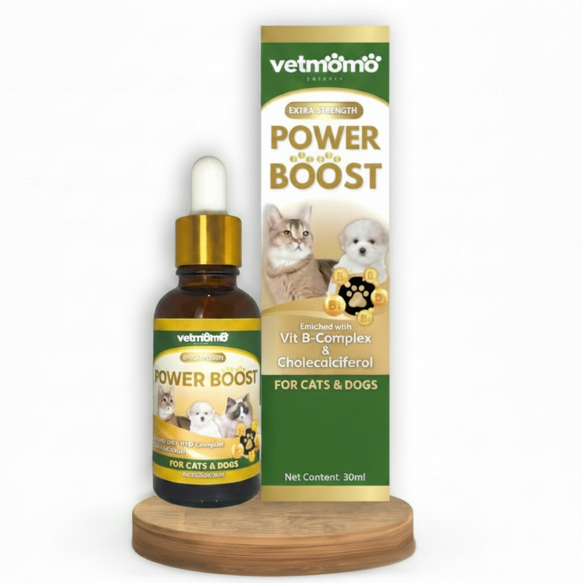 Power Boost Immune Booster