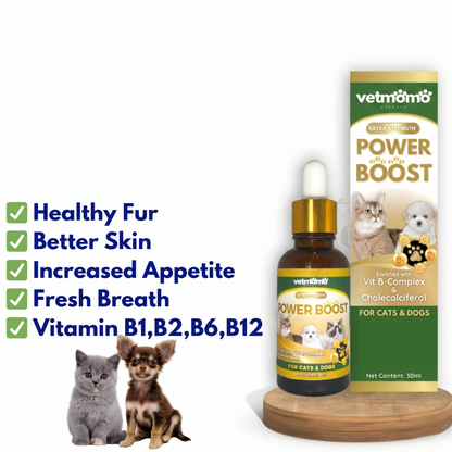 Power Boost Immune Booster