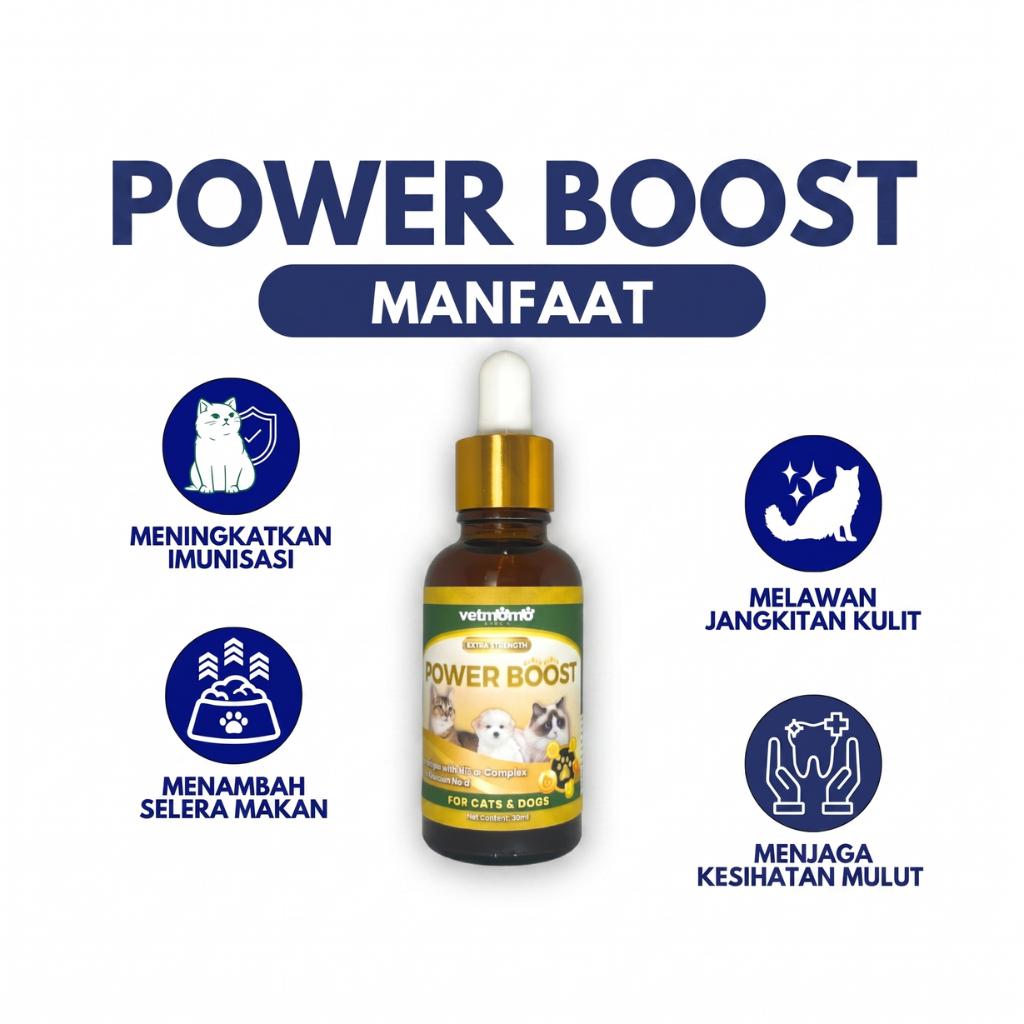 Power Boost Immune Booster