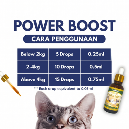 Power Boost Immune Booster