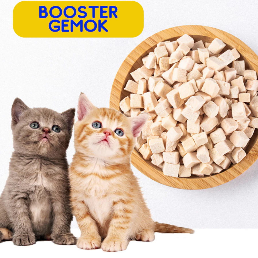 Booster Gemok - Omega Egg