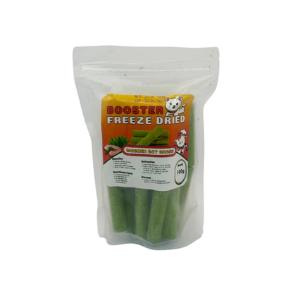 Cat Grass Stick