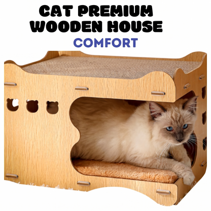 Cat Scratching House