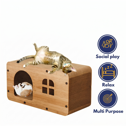 Cat Scratching House