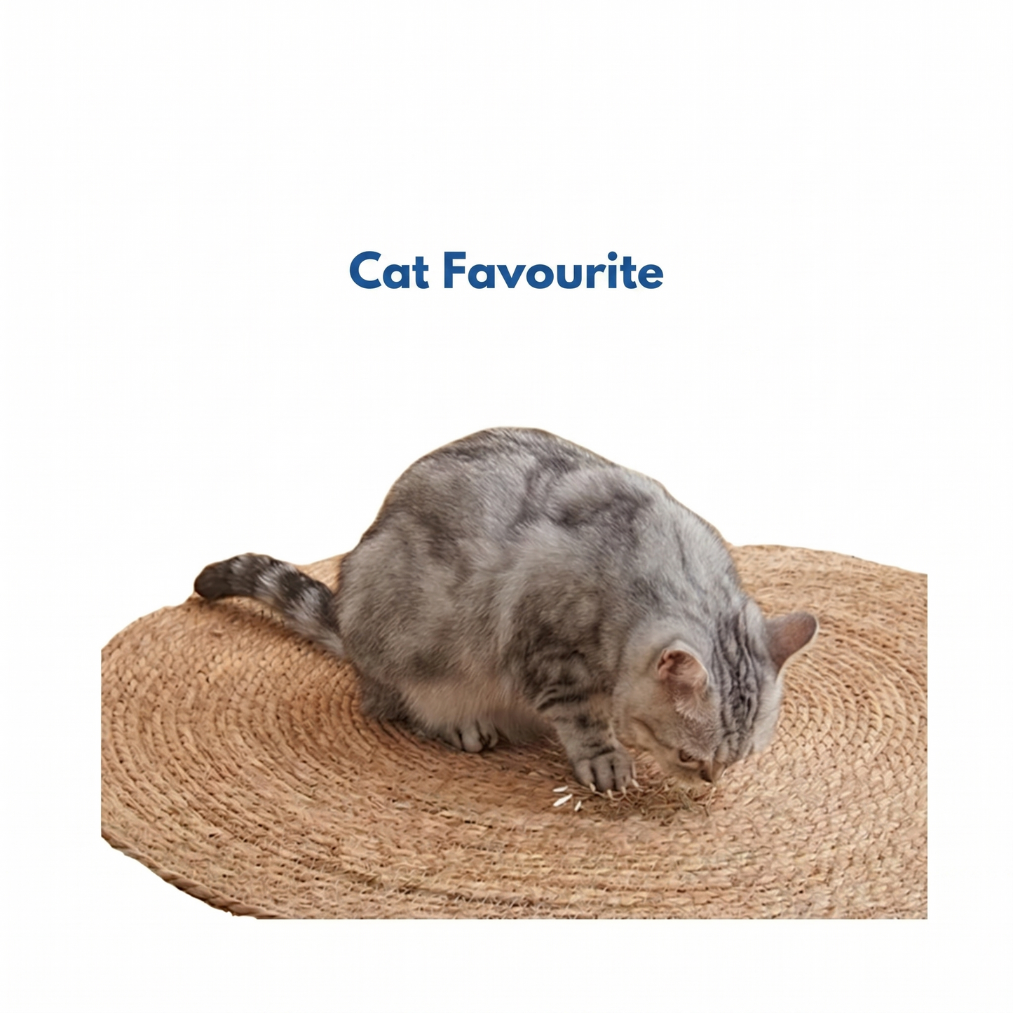 Cat Scratching Mat