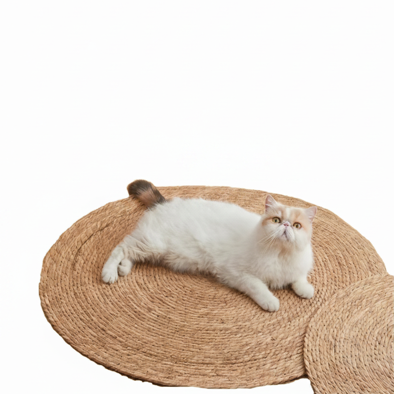 Cat Scratching Mat