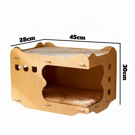 Cat Scratching House