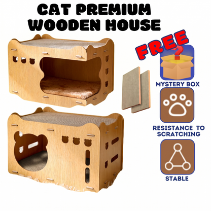 Cat Scratching House