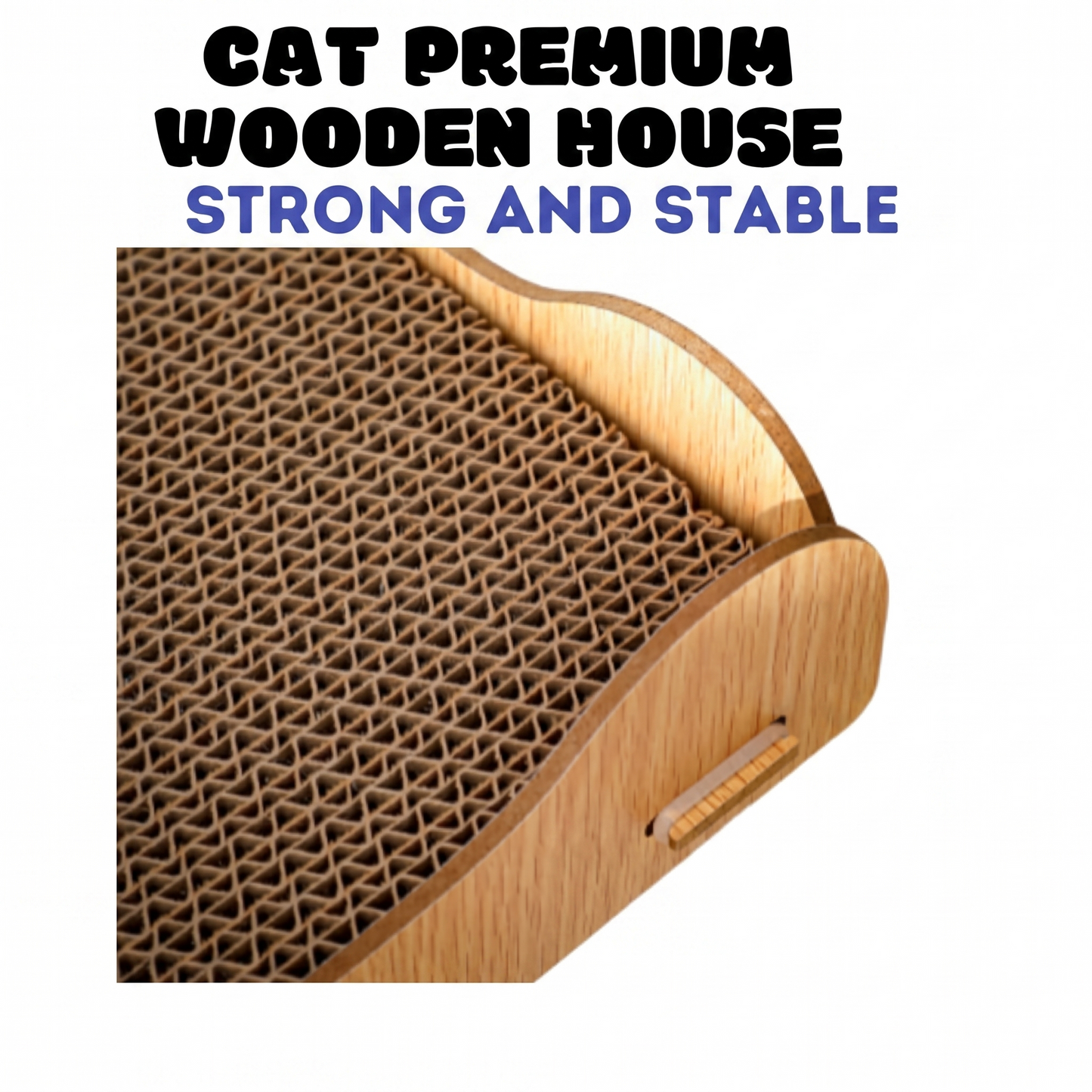 Cat Scratching House