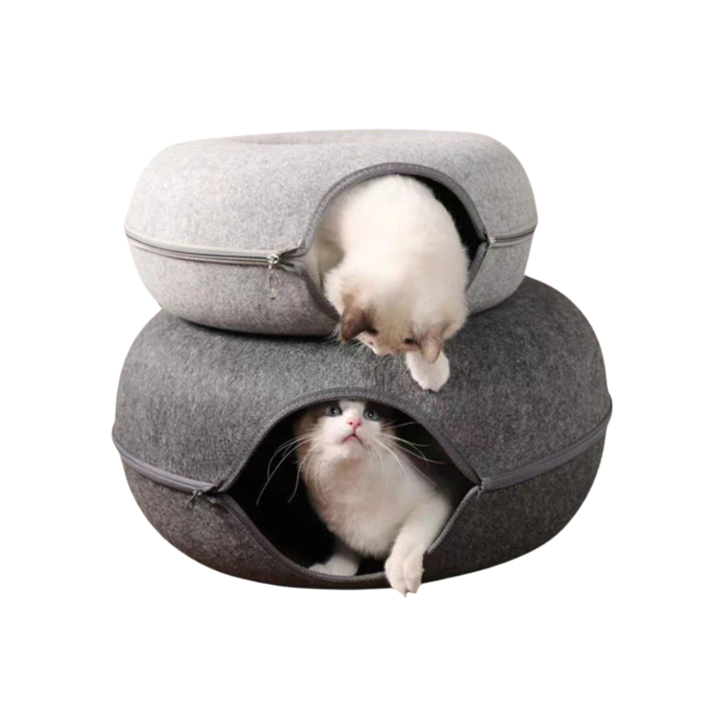 Donut Cat Tunnel