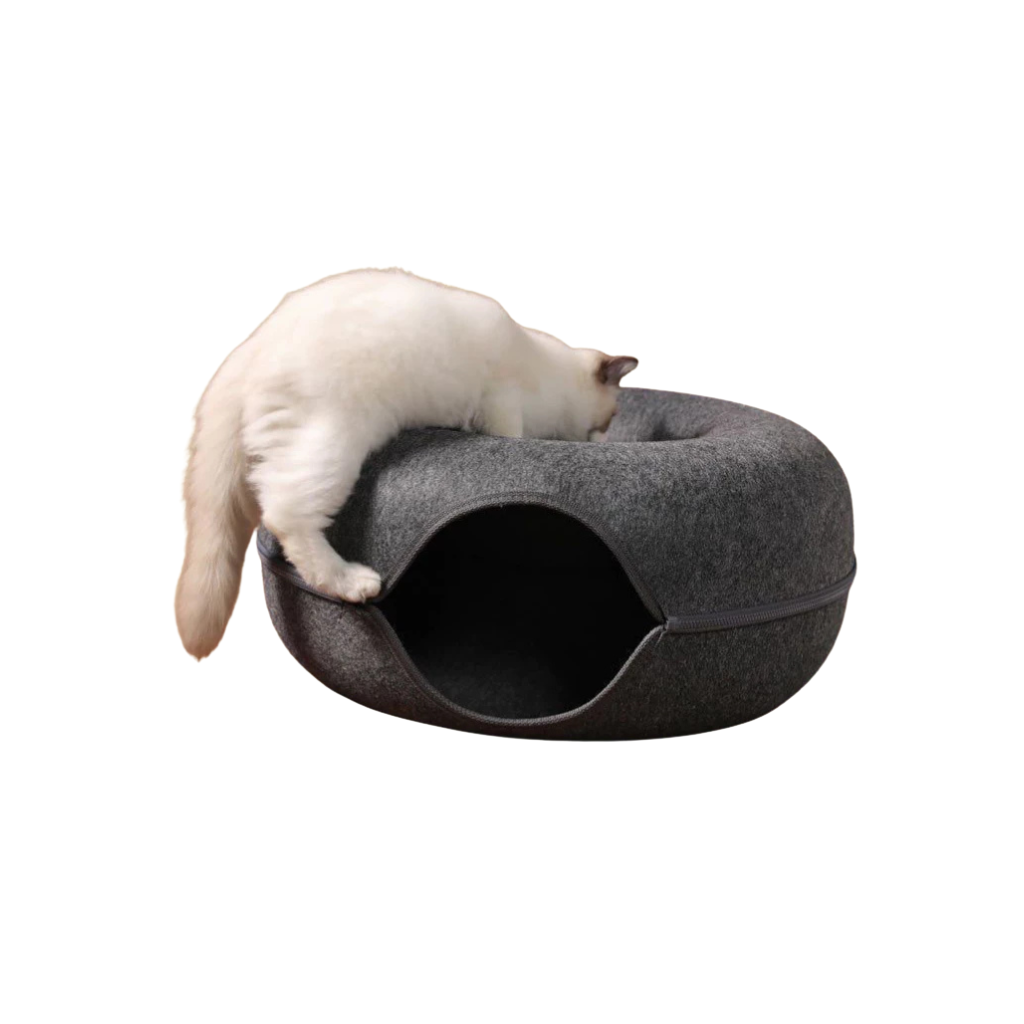 Donut Cat Tunnel