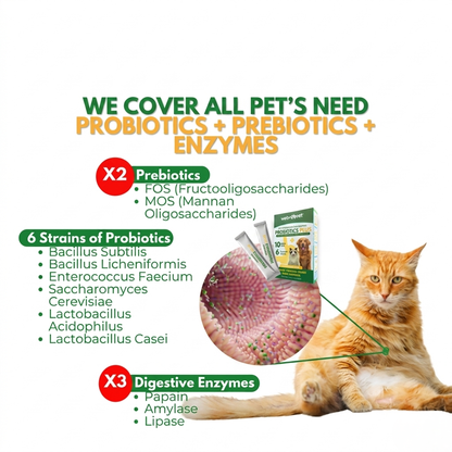 Vetmomo Probiotics Plus Sachet 5g