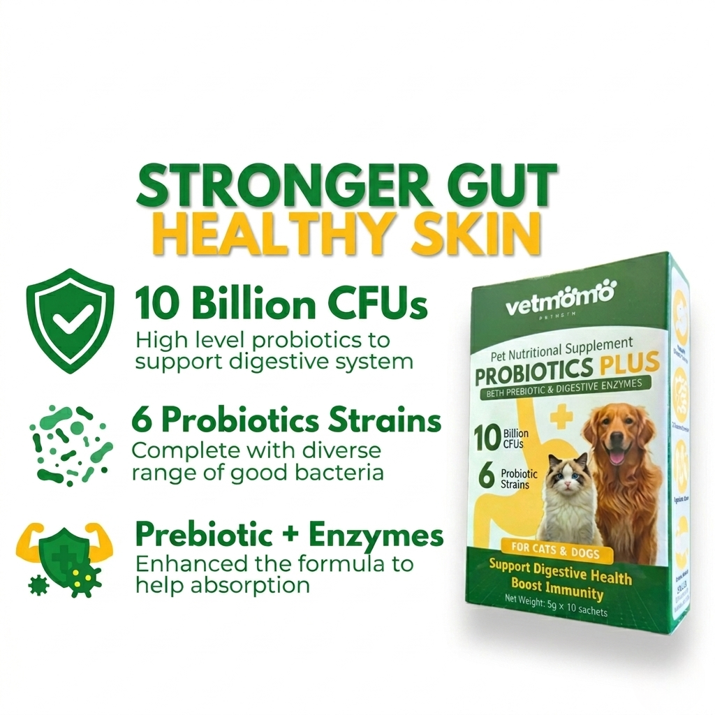 Vetmomo Probiotics Plus Sachet 5g
