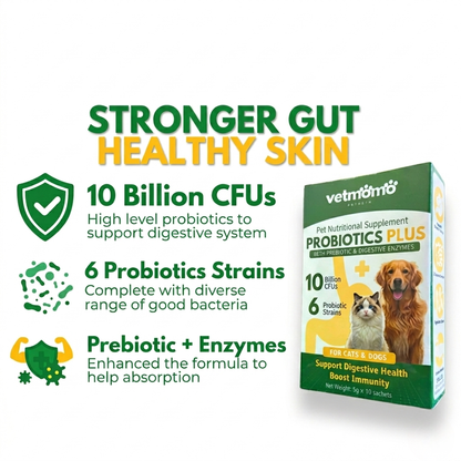 Vetmomo Probiotics Plus Sachet 5g