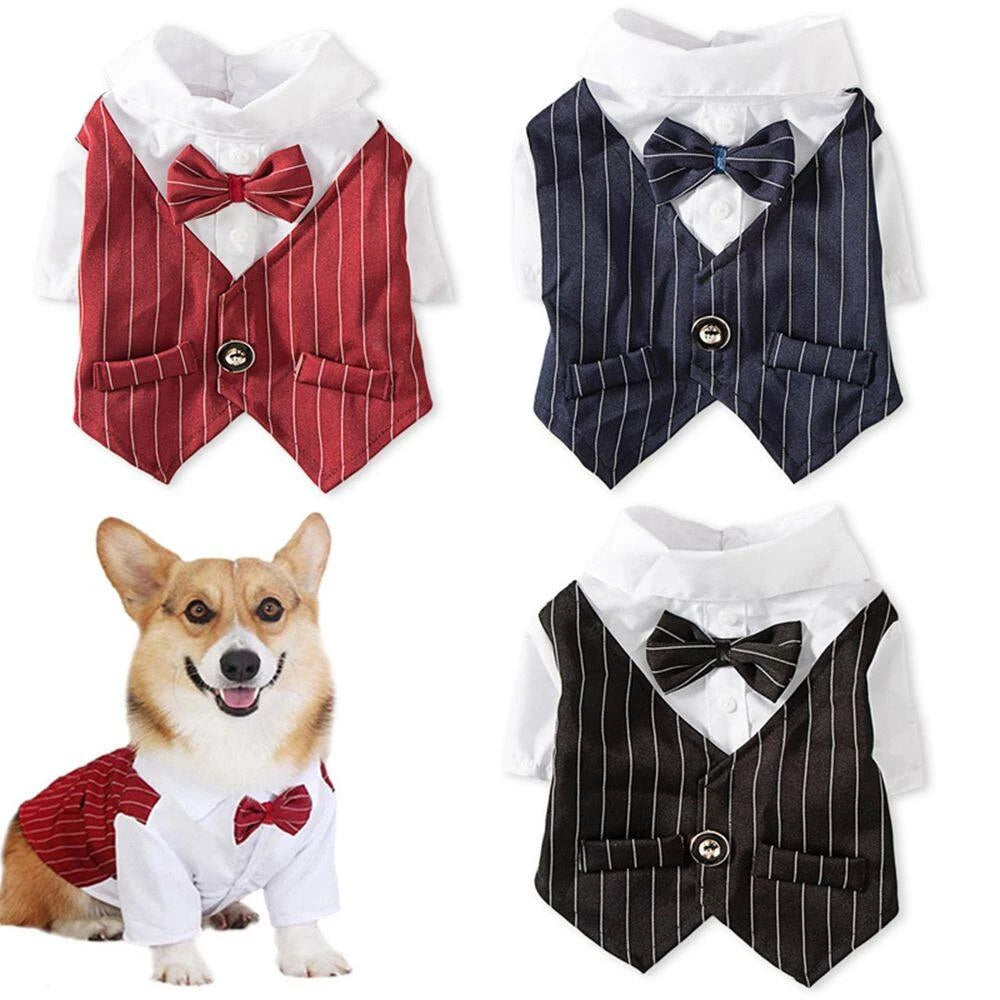 Tuxedo Bowtie Formal Costumes
