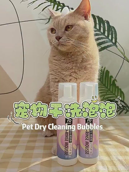 Foam Shampoo