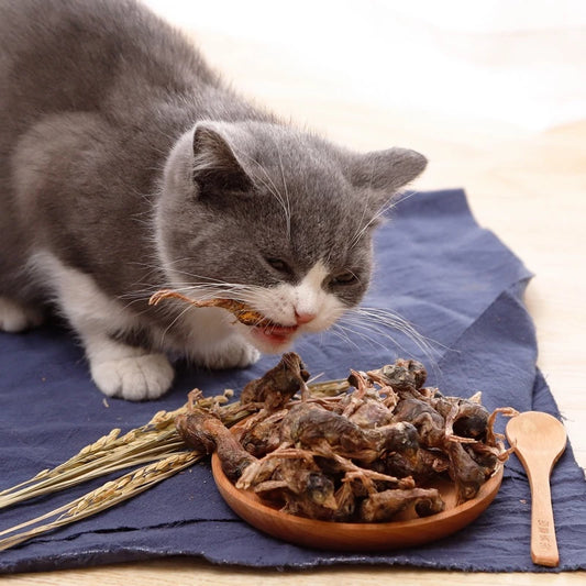 Premium Freeze-Dried Small Chicken For Pets