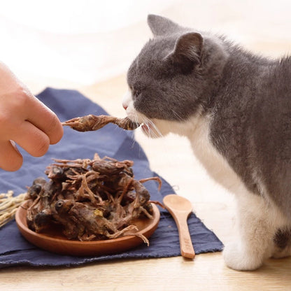 Premium Freeze-Dried Small Chicken For Pets